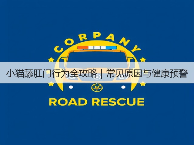 小猫舔肛门行为全攻略|常见原因与健康预警(图2) 小猫舔肛门行为全攻略|常见原因与健康预警(图2)