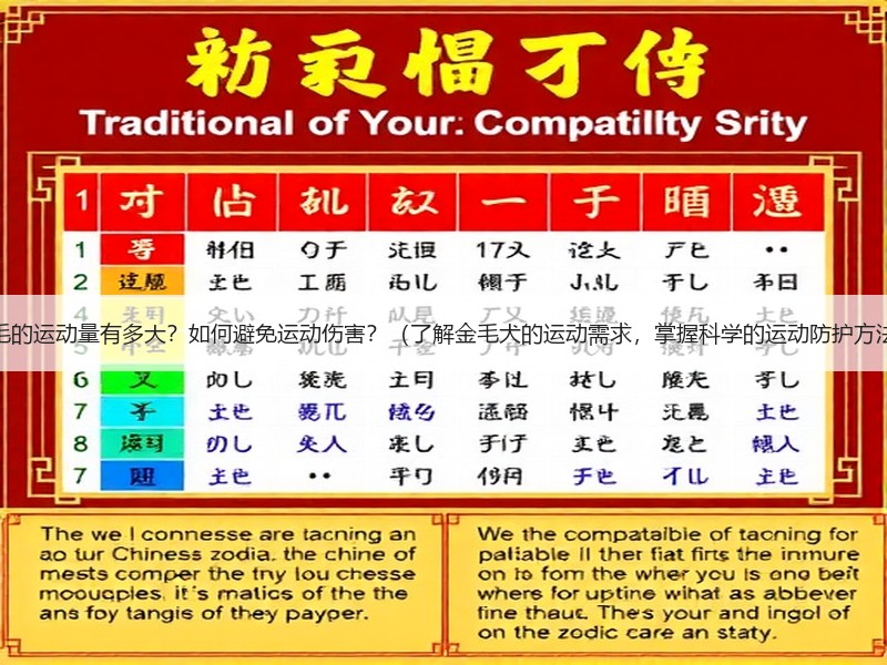 金毛的运动量有多大？如何避免运动伤害？（了解金毛犬的运动需求，掌握科学的运动防护