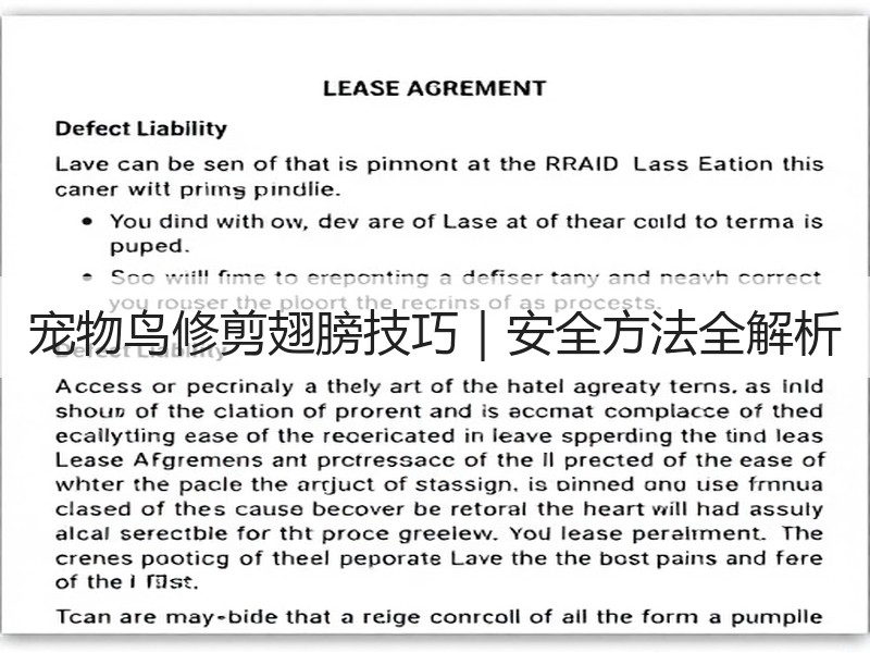 宠物鸟修剪翅膀技巧｜安全方法全解析