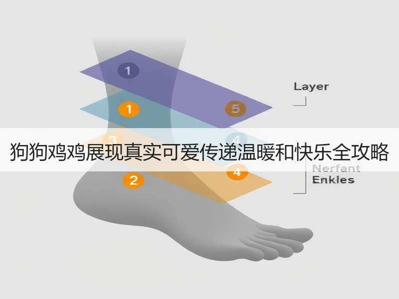 狗狗鸡鸡展现真实可爱传递温暖和快乐全攻略