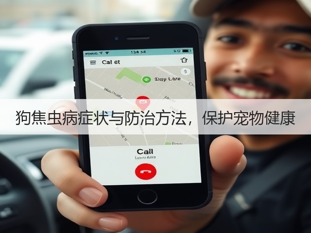 狗焦虫病症状与防治方法,保护宠物健康(图1) 狗焦虫病症状与防治方法,保护宠物健康(图1)