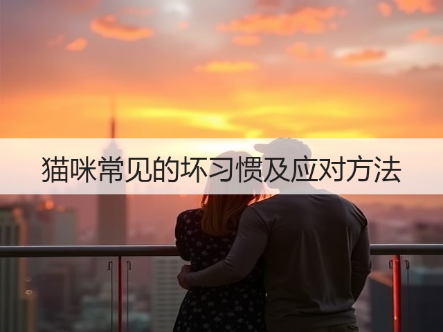 猫咪常见的坏习惯及应对方法(图3) 猫咪常见的坏习惯及应对方法(图3)