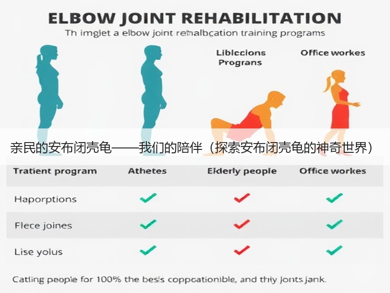 亲民的安布闭壳龟——我们的陪伴（探索安布闭壳龟的神奇世界）