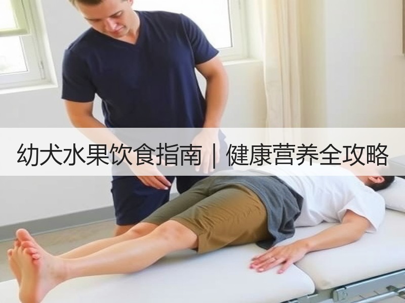幼犬水果饮食指南｜健康营养全攻略