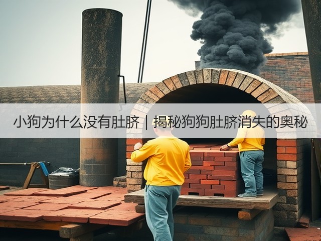 小狗为什么没有肚脐|揭秘狗狗肚脐消失的奥秘(图1) 小狗为什么没有肚脐|揭秘狗狗肚脐消失的奥秘(图1)