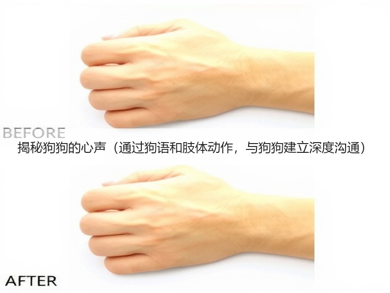揭秘狗狗的心声（通过狗语和肢体动作，与狗狗建立深度沟通）