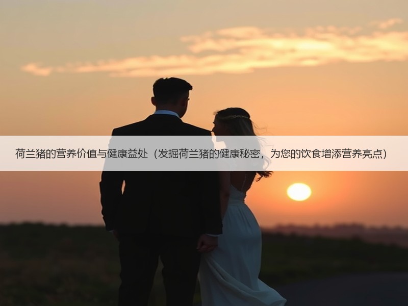 荷兰猪的营养价值与健康益处（发掘荷兰猪的健康秘密，为您的饮食增添营养亮点）