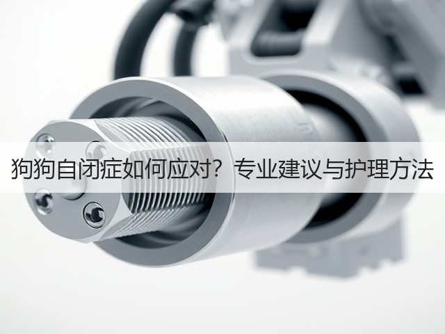 狗狗自闭症如何应对？专业建议与护理方法(图1)