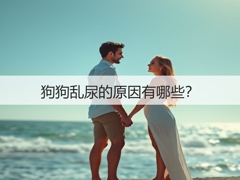 狗狗乱尿的原因有哪些？