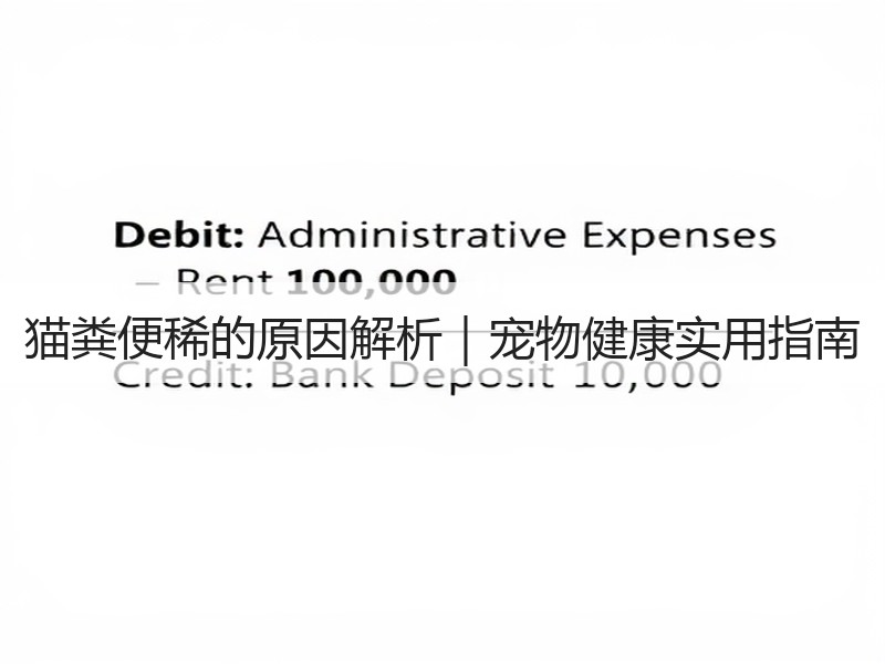 猫粪便稀的原因解析｜宠物健康实用指南