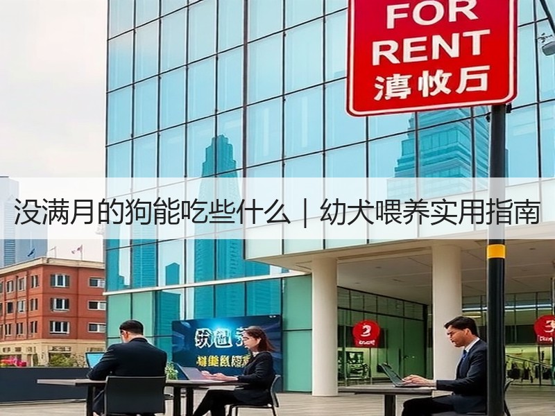没满月的狗能吃些什么｜幼犬喂养实用指南