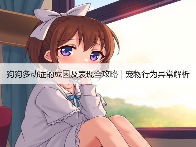 狗狗多动症的成因及表现全攻略|宠物行为异常解析(图2) 狗狗多动症的成因及表现全攻略|宠物行为异常解析(图2)