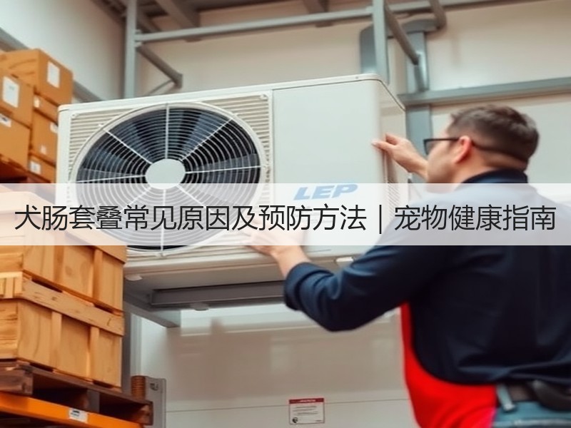 犬肠套叠常见原因及预防方法｜宠物健康指南