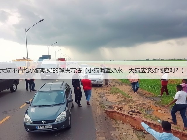 大猫不肯给小猫喂奶的解决方法(小猫渴望奶水,大猫应该如何应对?)(图1) 大猫不肯给小猫喂奶的解决方法(小猫渴望奶水,大猫应该如何应对?)(图1)