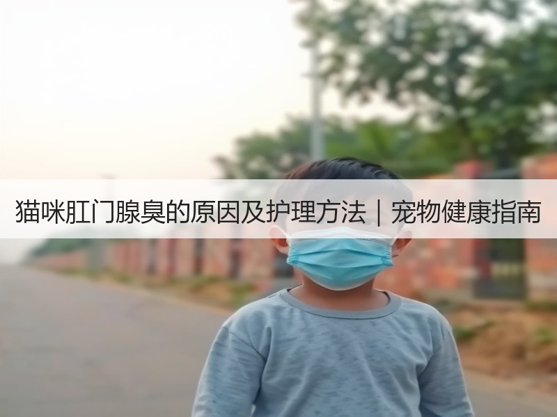 猫咪肛门腺臭的原因及护理方法｜宠物健康指南