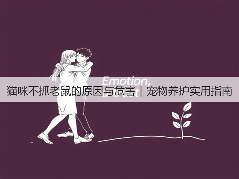 猫咪不抓老鼠的原因与危害｜宠物养护实用指南