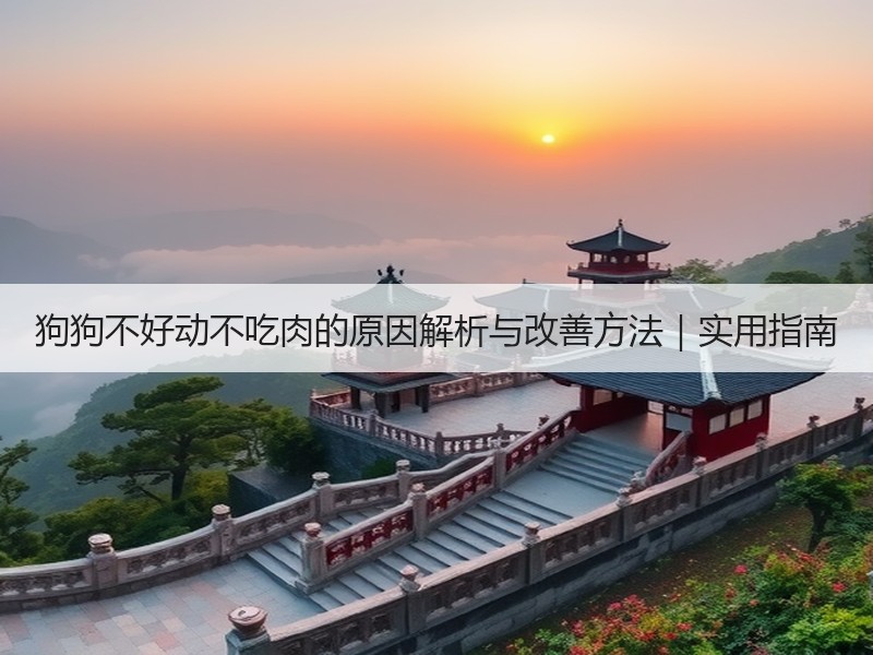 狗狗不好动不吃肉的原因解析与改善方法｜实用指南