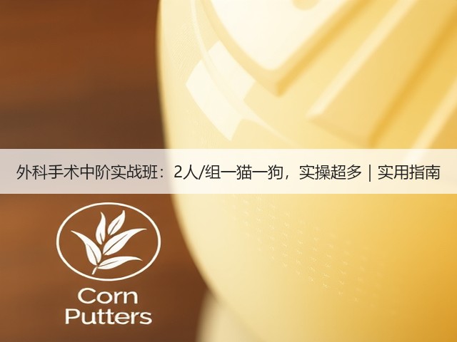 外科手术中阶实战班:2人/组一猫一狗,实操超多|实用指南(图1) 外科手术中阶实战班:2人/组一猫一狗,实操超多|实用指南(图1)