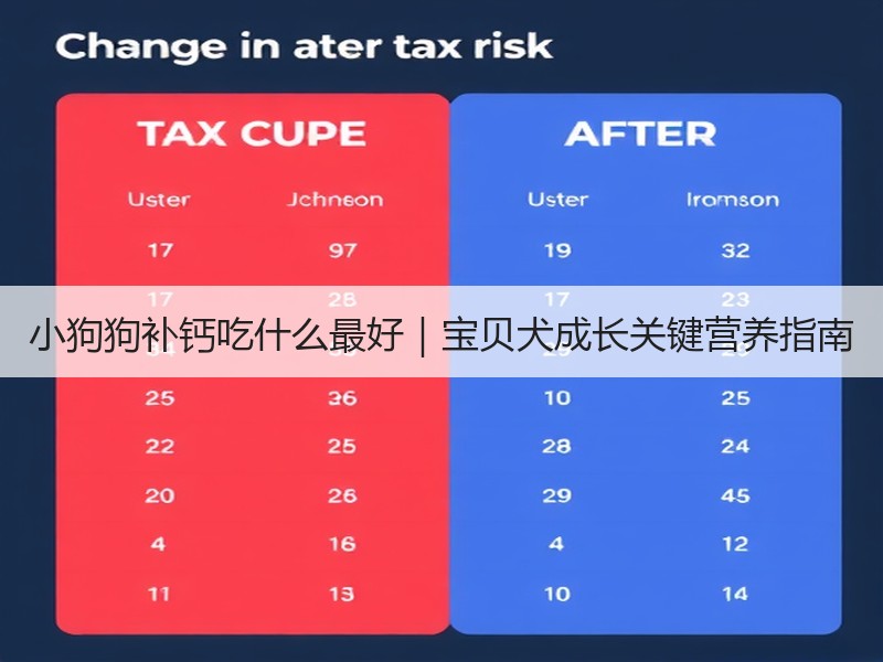 小狗狗补钙吃什么最好｜宝贝犬成长关键营养指南