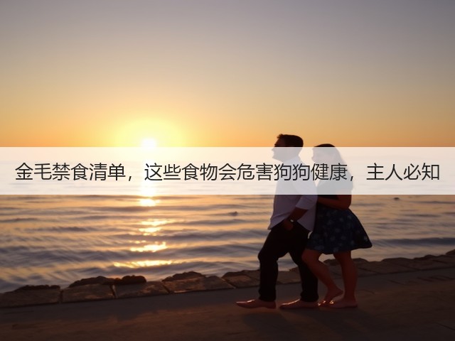 金毛禁食清单,这些食物会危害狗狗健康,主人必知(图3) 金毛禁食清单,这些食物会危害狗狗健康,主人必知(图3)