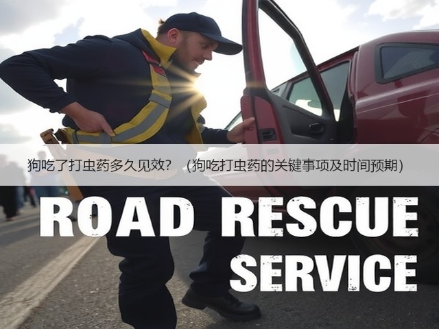狗吃了打虫药多久见效？（狗吃打虫药的关键事项及时间预期）(图3)