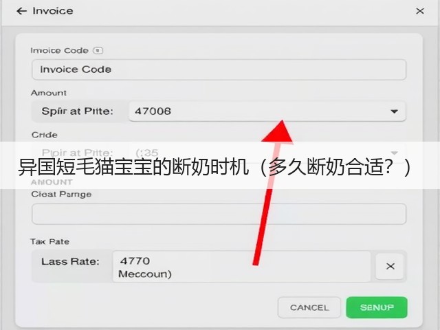 异国短毛猫宝宝的断奶时机(多久断奶合适?)(图1) 异国短毛猫宝宝的断奶时机(多久断奶合适?)(图1)