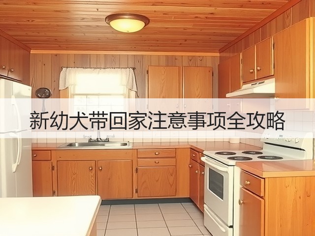 新幼犬带回家注意事项全攻略(图2) 新幼犬带回家注意事项全攻略(图2)