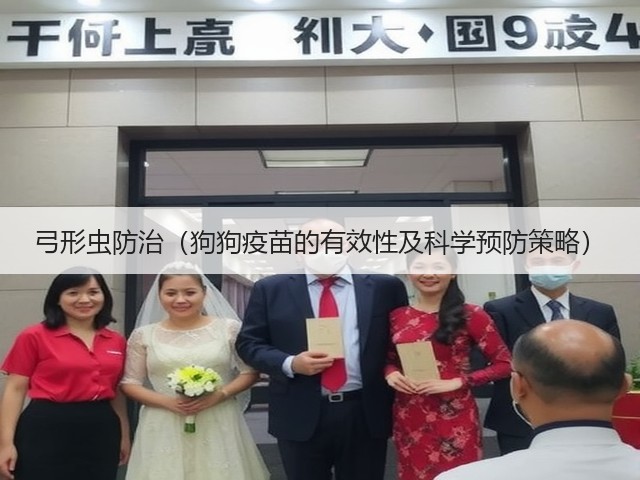 弓形虫防治(狗狗疫苗的有效性及科学预防策略)(图2) 弓形虫防治(狗狗疫苗的有效性及科学预防策略)(图2)