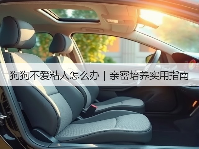狗狗不爱粘人怎么办｜亲密培养实用指南(图2)