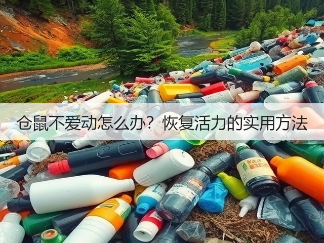 仓鼠不爱动怎么办?恢复活力的实用方法(图2) 仓鼠不爱动怎么办?恢复活力的实用方法(图2)