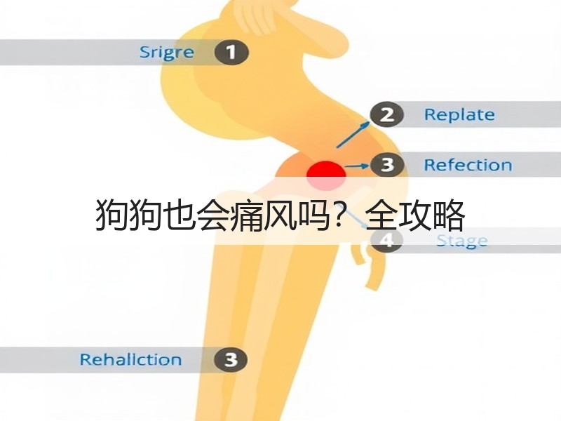 狗狗也会痛风吗？全攻略