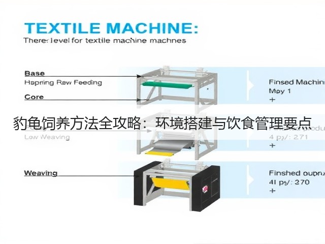 豹龟饲养方法全攻略:环境搭建与饮食管理要点(图1) 豹龟饲养方法全攻略:环境搭建与饮食管理要点(图1)