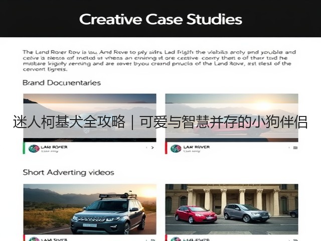 迷人柯基犬全攻略|可爱与智慧并存的小狗伴侣(图1) 迷人柯基犬全攻略|可爱与智慧并存的小狗伴侣(图1)