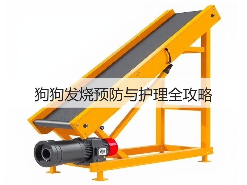 狗狗发烧预防与护理全攻略