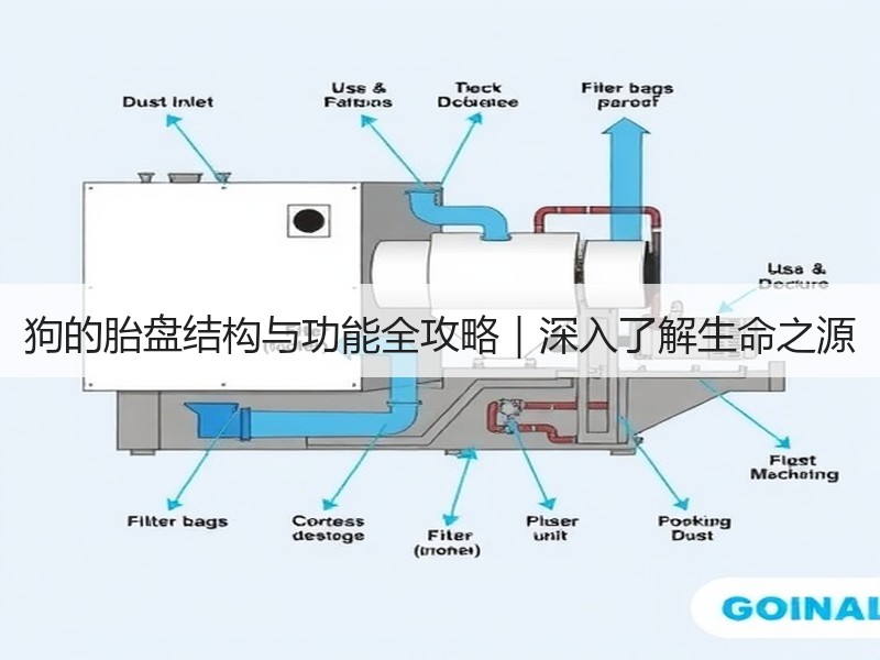 狗的胎盘结构与功能全攻略｜深入了解生命之源
