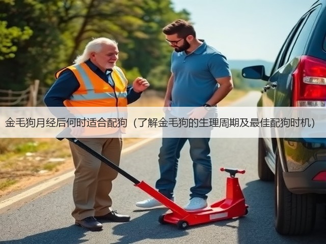 金毛狗月经后何时适合配狗(了解金毛狗的生理周期及最佳配狗时机)(图1) 金毛狗月经后何时适合配狗(了解金毛狗的生理周期及最佳配狗时机)(图1)