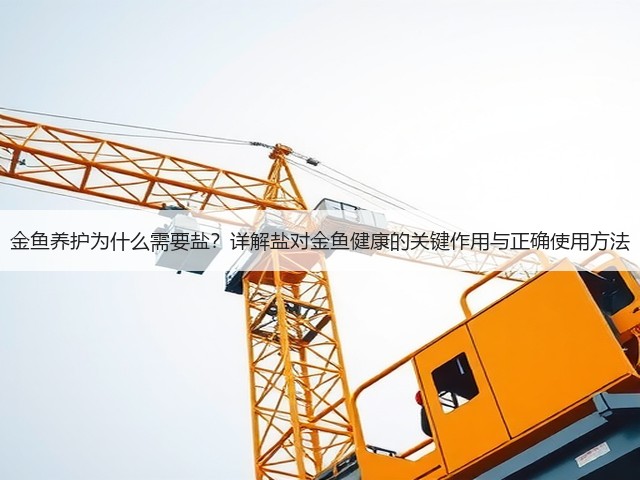 金鱼养护为什么需要盐?详解盐对金鱼健康的关键作用与正确使用方法(图3) 金鱼养护为什么需要盐?详解盐对金鱼健康的关键作用与正确使用方法(图3)