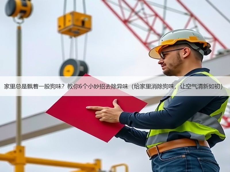 家里总是飘着一股狗味？教你6个小妙招去除异味（给家里消除狗味，让空气清新如初）