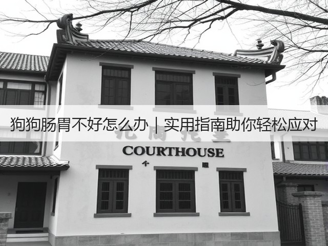 狗狗肠胃不好怎么办|实用指南助你轻松应对(图3) 狗狗肠胃不好怎么办|实用指南助你轻松应对(图3)