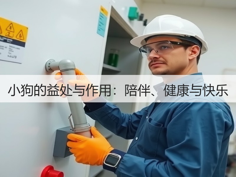 小狗的益处与作用：陪伴、健康与快乐