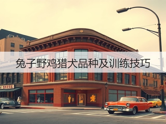 兔子野鸡猎犬品种及训练技巧(图2) 兔子野鸡猎犬品种及训练技巧(图2)