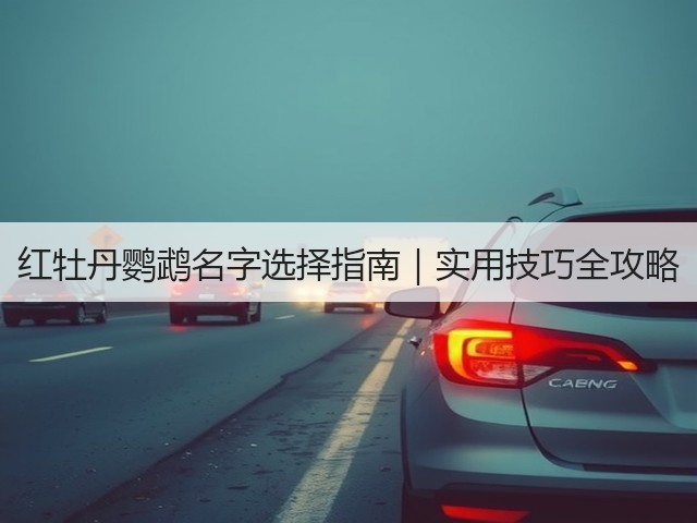 红牡丹鹦鹉名字选择指南|实用技巧全攻略(图1) 红牡丹鹦鹉名字选择指南|实用技巧全攻略(图1)