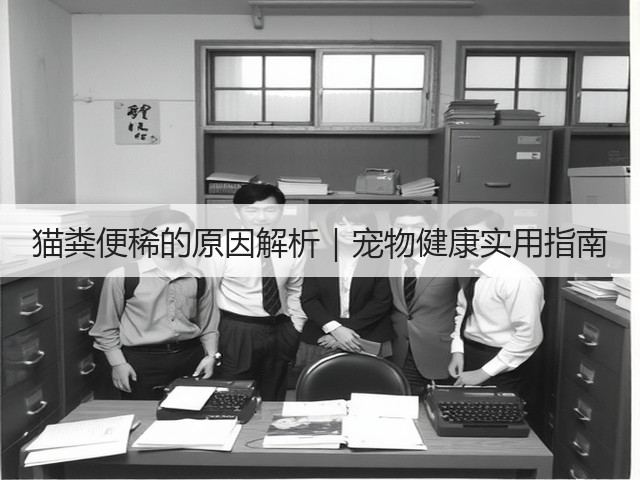 猫粪便稀的原因解析｜宠物健康实用指南(图3)