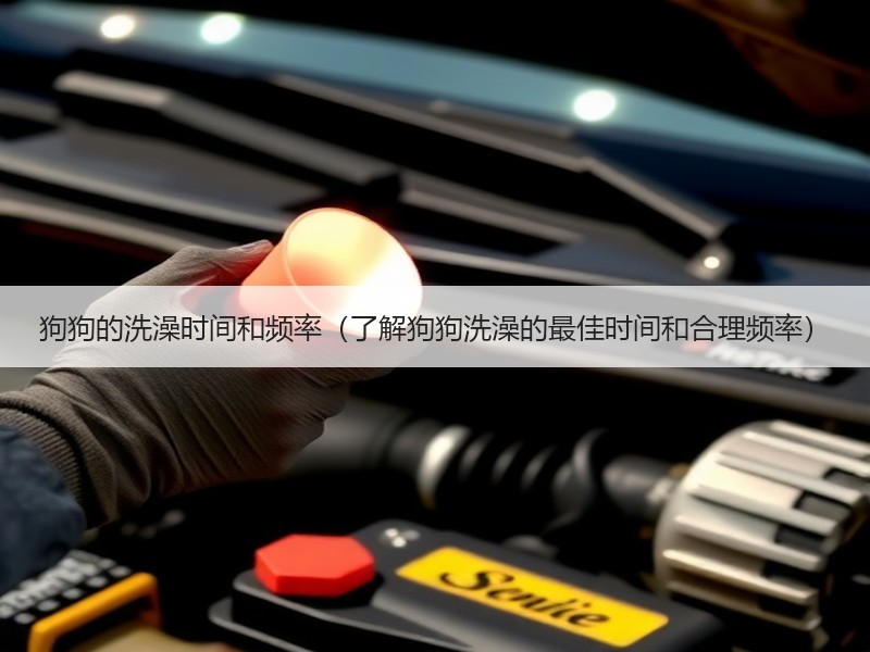 狗狗的洗澡时间和频率（了解狗狗洗澡的最佳时间和合理频率）