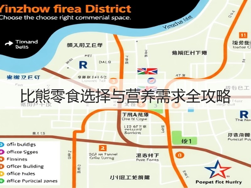 比熊零食选择与营养需求全攻略