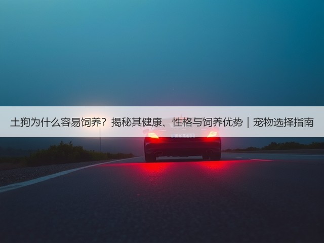 土狗为什么容易饲养?揭秘其健康、性格与饲养优势|宠物选择指南(图2) 土狗为什么容易饲养?揭秘其健康、性格与饲养优势|宠物选择指南(图2)