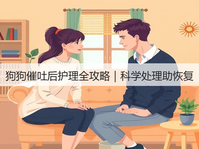 狗狗催吐后护理全攻略｜科学处理助恢复