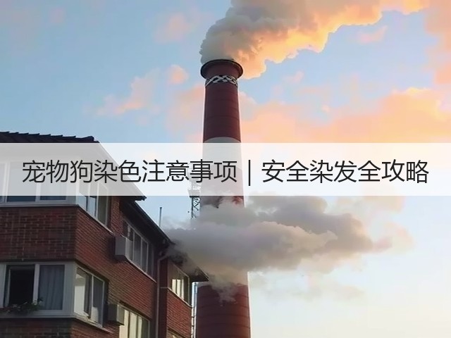 宠物狗染色注意事项｜安全染发全攻略(图2)