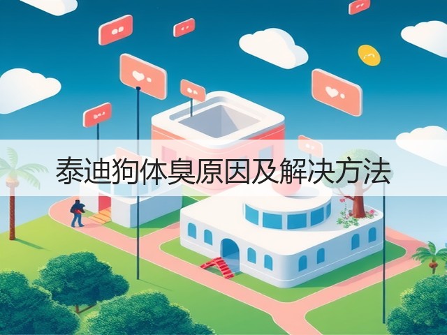 泰迪狗体臭原因及解决方法(图3) 泰迪狗体臭原因及解决方法(图3)