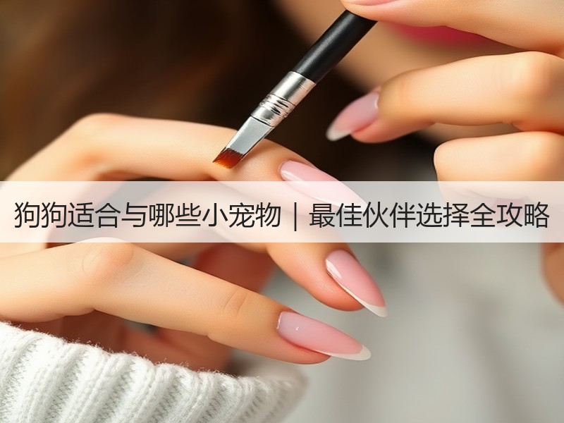 狗狗适合与哪些小宠物｜最佳伙伴选择全攻略